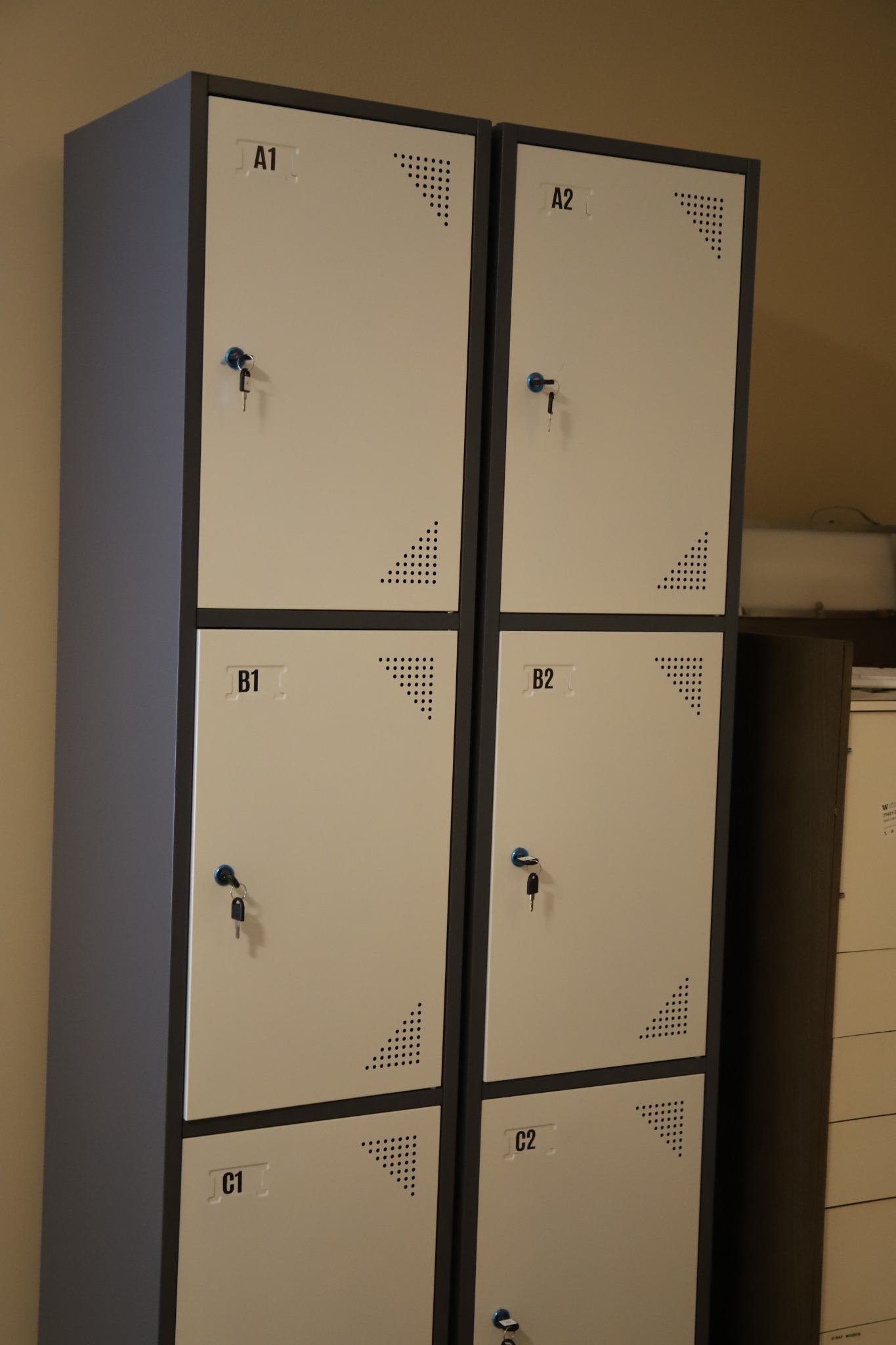 Resident storage lockers